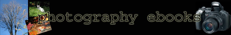 New York Institute Of Photography Ebook Download